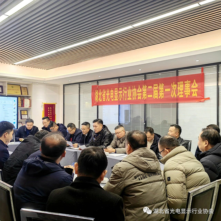 湖北省光电显示行业协会第二届第一次理事会会议